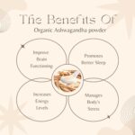 Organic Ashwandha Powder - Image 4